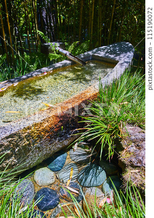 Bamboo around Shishi odoshi stone canoe with colorful cobblestones in Japanese Tea Garden 115190072