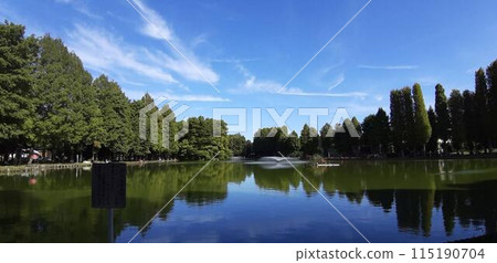 Park with green Park with green 115190704