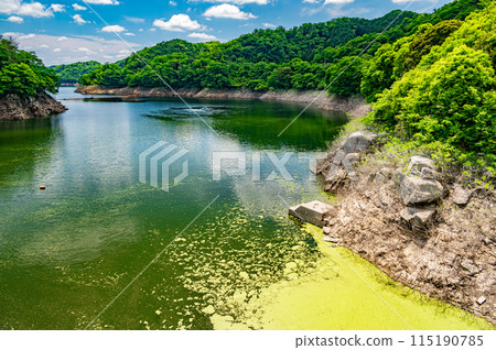 高山水壩(月瀨水壩) 水壩湖 京都府南山城村 高山水壩(月瀨水壩) 水壩湖 京都府南山城村 115190785