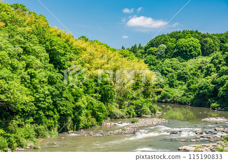 Kizu River, a mountain stream in southern Kyoto, Minamiyamashiro Village, Kyoto Prefecture Kizu River, a mountain stream in southern Kyoto, Minamiyamashiro Village, Kyoto Prefecture 115190833