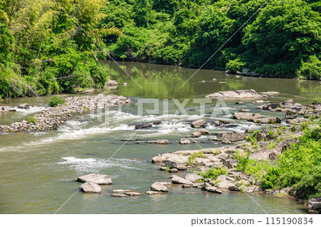 京都府南山城村京都南部的山間溪流木津川 115190834