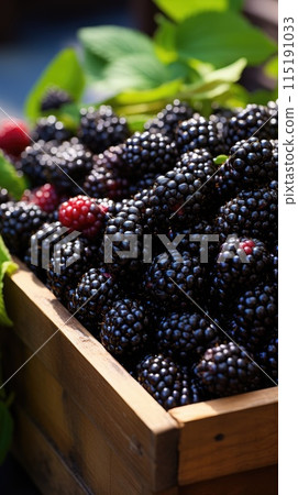 Fresh blackberries in a basket on a wooden table. Selective focus. 115191033
