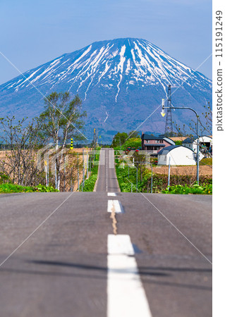 通往羊蹄山的道路 115191249