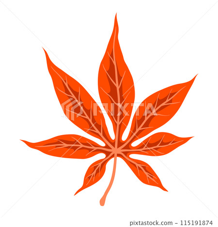 Illustration of maple leaf. Decorative autumn foliage. 115191874