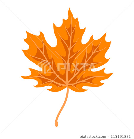 Illustration of maple leaf. Decorative autumn foliage. 115191881