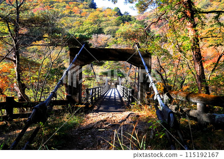 鬼怒川龍王秋葉/栃木縣日光市 鬼怒川龍王秋葉/栃木縣日光市 115192167