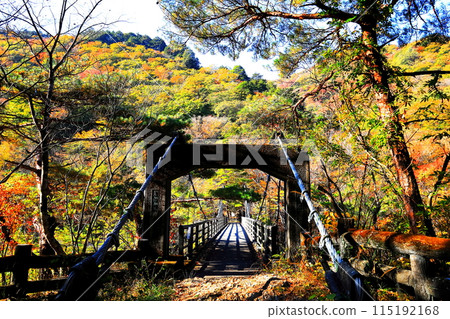 鬼怒川龍王秋葉/栃木縣日光市 115192168