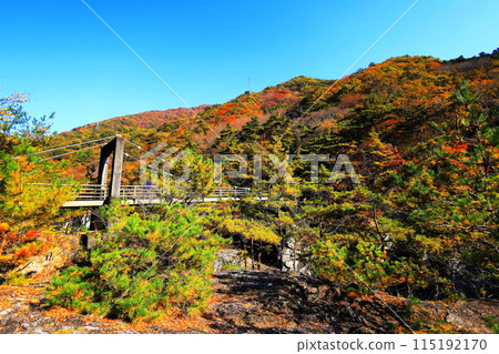 Autumn leaves at Ryuokyo Gorge on the Kinugawa River / Nikko City, Tochigi Prefecture Autumn leaves at Ryuokyo Gorge on the Kinugawa River / Nikko City, Tochigi Prefecture 115192170