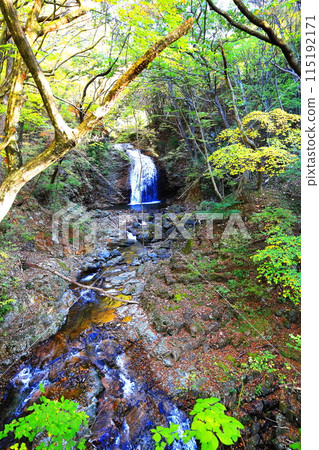 Autumn leaves at Ryuokyo Gorge on the Kinugawa River / Nikko City, Tochigi Prefecture Autumn leaves at Ryuokyo Gorge on the Kinugawa River / Nikko City, Tochigi Prefecture 115192171