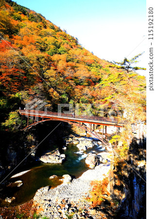 鬼怒川龍王秋葉/栃木縣日光市 鬼怒川龍王秋葉/栃木縣日光市 115192180