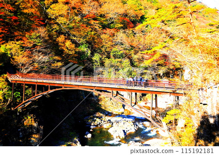 鬼怒川龍王秋葉/栃木縣日光市 鬼怒川龍王秋葉/栃木縣日光市 115192181