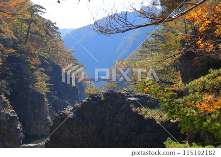 鬼怒川龍王秋葉/栃木縣日光市 115192182