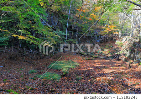 Autumn leaves at Ryuokyo Gorge on the Kinugawa River / Nikko City, Tochigi Prefecture 115192243