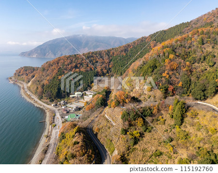 秋天的海津大崎鳥瞰樹葉變幻的景象 秋天的海津大崎鳥瞰樹葉變幻的景象 115192760
