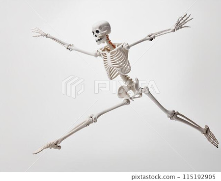 Bone human on white background 115192905