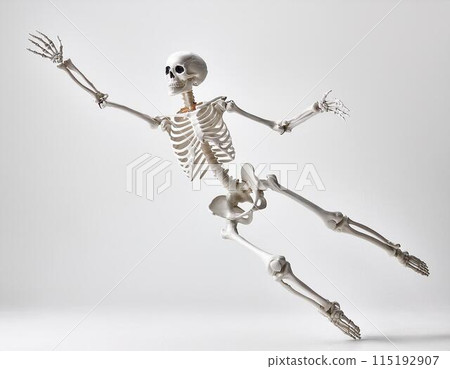 Bone human on white background 115192907