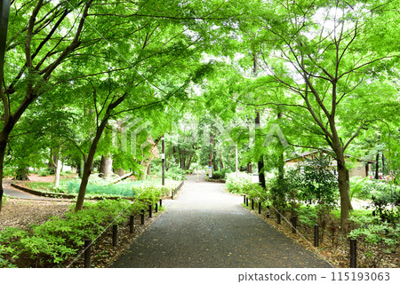 綠樹環繞的凜筱森公園 115193063