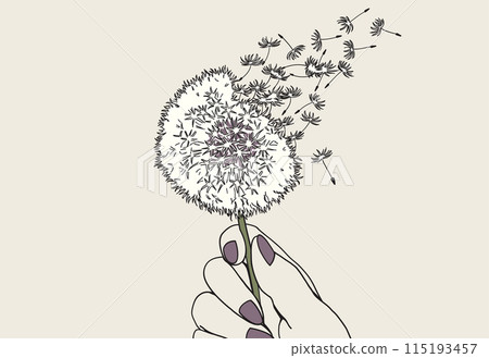 手持蒲公英絨毛的真實線條畫 手持蒲公英絨毛的真實線條畫 115193457