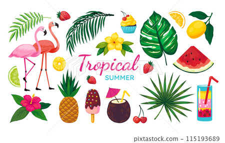 Beach party elements. Summer travel vacation. Tropical leaves. Coconut cocktail. Exotic flowers. Flamingo birds. Hawaiian or Caribbean fruits. Hawaii island drink. Summertime vector set 115193689