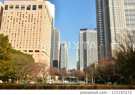 View of the Tokyo Metropolitan Government Building and other skyscrapers from Shinjuku Central Park 115197272