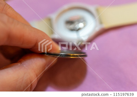 Wristwatch battery change 115197639