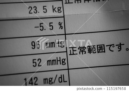 普通範圍 115197658