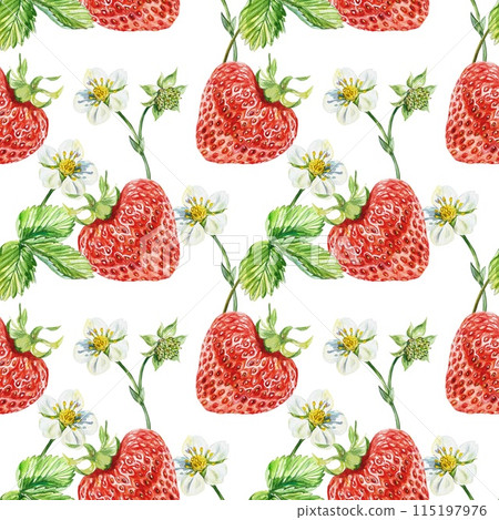 Strawberry seamless pattern. Berries, leaves, flowers. Watercolor illustration isolated on white background. Packaging, textiles, covers, wallpaper. Strawberry seamless pattern. Berries, leaves, flowers. Watercolor illustration isolated on white background. Packaging, textiles, covers, wallpaper. 115197976