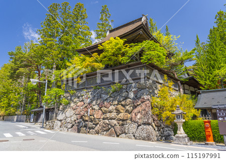 Mount Koya, Danjo Garan, Six o'clock Bell, Enishida (golden jasmine) in full bloom 115197991