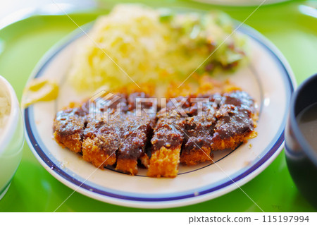 Nagoya's specialty, miso cutlet 115197994