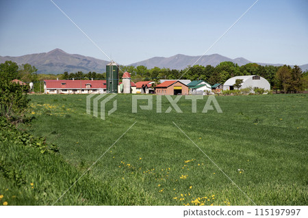 十勝平原牧場 十勝平原牧場 115197997