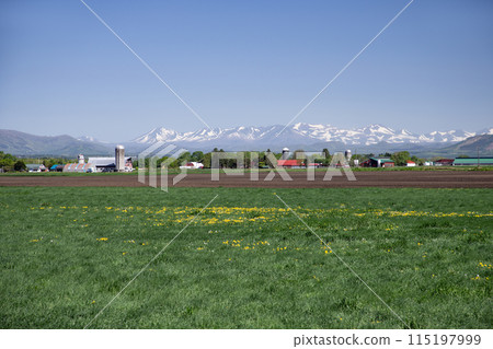 Ranches in the Tokachi Plain 115197999