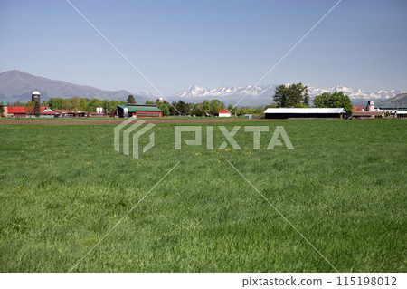 十勝平原牧場 115198012