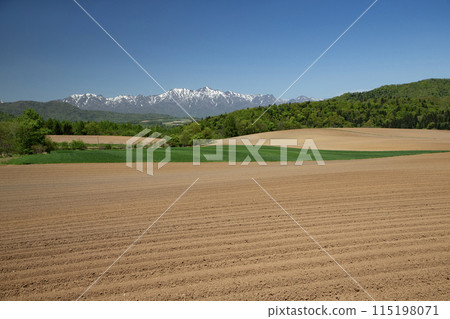 早春的土地 115198071