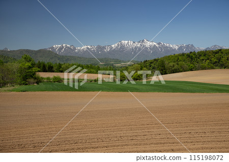 Early spring land 115198072