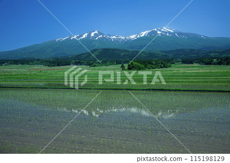 Mt. Chokai in the countryside and the remaining snow Mt. Chokai in the countryside and the remaining snow 115198129