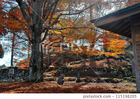 The ruins of Onigajo Castle in autumn, Wakasa Town, Tottori Prefecture. 115198205