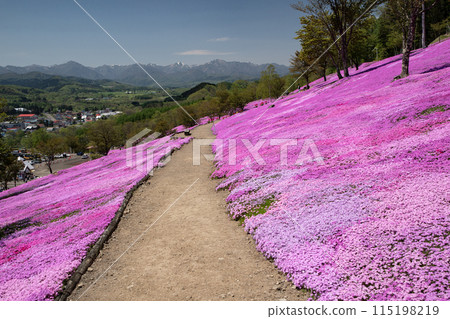 Takigami Shiba櫻花公園 115198219