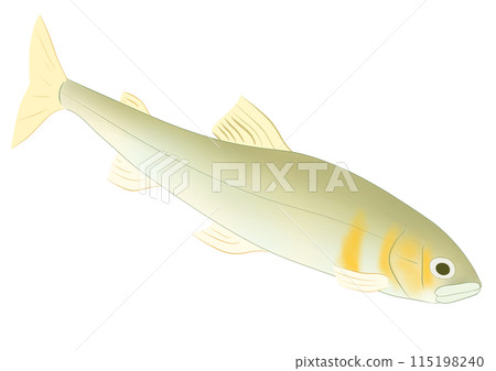 阿玉 阿玉 115198240