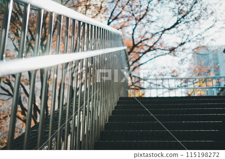 stair, staircase, stairway 115198272