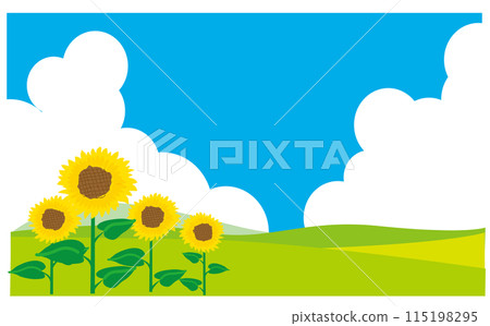 Sunflower and fresh grassland illustration background 115198295