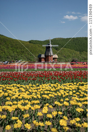 Kamiibetsu鬱金香公園 Kamiibetsu鬱金香公園 115198489
