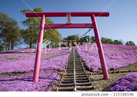 Toigakko Shiba櫻花公園 115198596