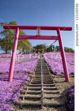 Toigakko Shiba櫻花公園 115198598