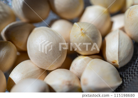 Fresh ginkgo nuts Fresh ginkgo nuts 115198680
