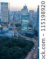 充滿活力的東京黃昏 115198920