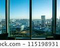 大城市東京在陽光明媚的日子 115198931