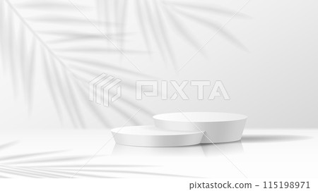 Mockup stage with palm shadow realistic vector illustration 115198971
