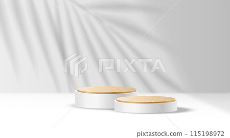 Mockup stage with palm shadow realistic vector illustration 115198972