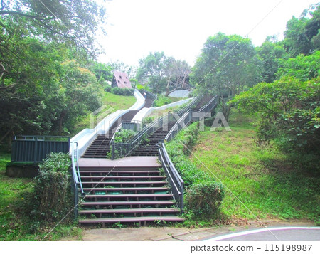 台灣新竹綠草滑梯 台灣新竹綠草滑梯 115198987