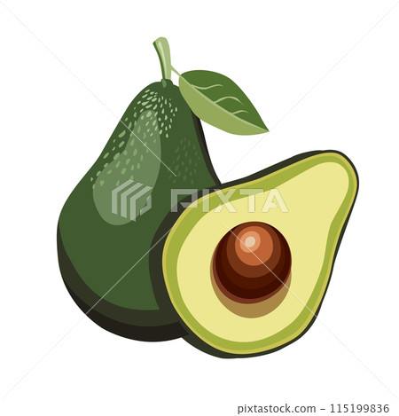 Fresh whole and half cut green avocado isolated on white background. Side view. Vector food clipart Fresh whole and half cut green avocado isolated on white background. Side view. Vector food clipart 115199836